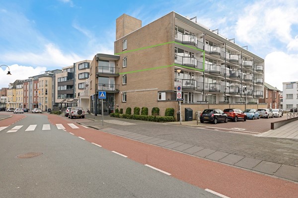 Hogeweg 22-01 kopie.jpeg